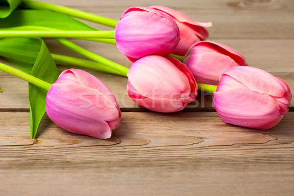 букет свежие красивой тюльпаны текстуры Сток-фото © Taiga