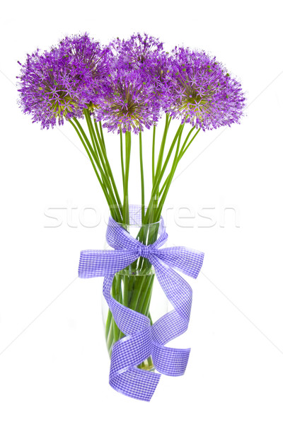 Bouqet of Allium / isolated on white Stock photo © Taiga