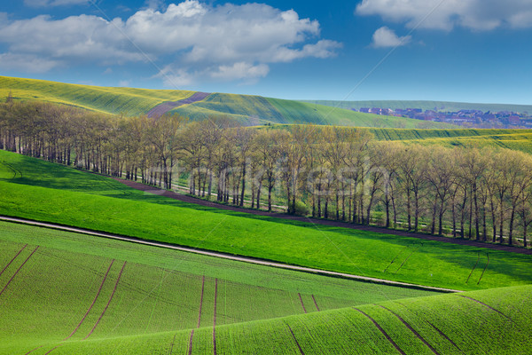 Vers landschap velden platteland verschillend kleuren Stockfoto © Taiga