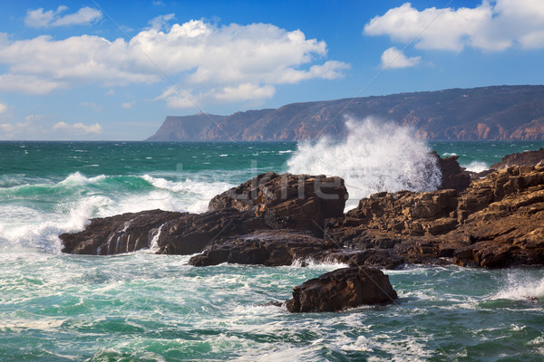 Powerful Ocean Waves crushing on a rocky coast Stock photo © Taiga