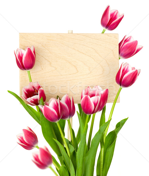 Beautiful Tulips and Empty Sign for message / wooden panel / iso Stock photo © Taiga