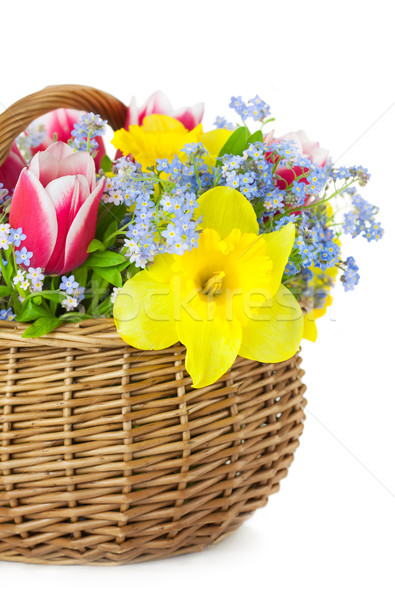 Bouquet of Spring Flowers in Basket  / isolated  Stock photo © Taiga