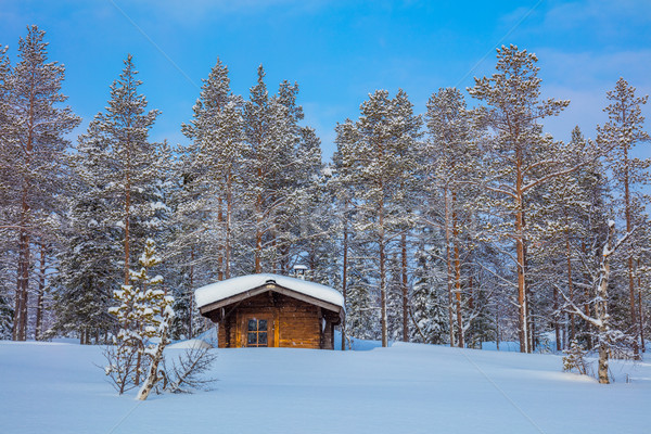 Winter Wald Landschaft blizzard wenig Holz Stock foto © Taiga