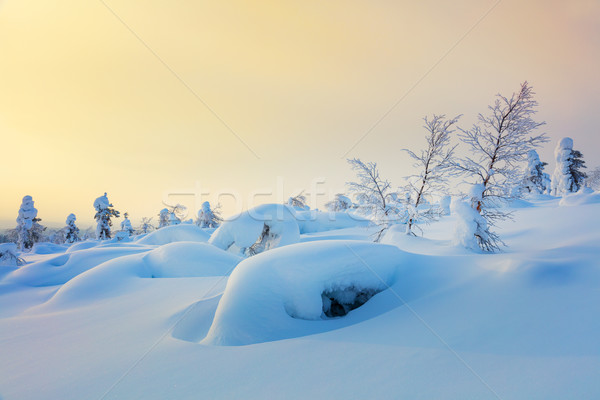 Nazik kış kuzey doğa gündoğumu zaman Stok fotoğraf © Taiga