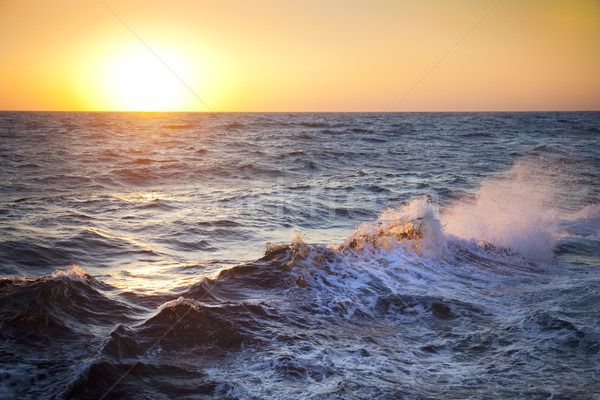 Stormy sea / Dawn / Waves and spray Stock photo © Taiga