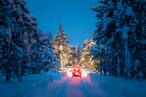 Kış sürücü ışıklar araba yol gece Stok fotoğraf © Taiga