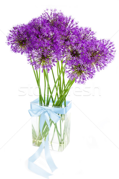 Bouqet of Allium / isolated on white Stock photo © Taiga