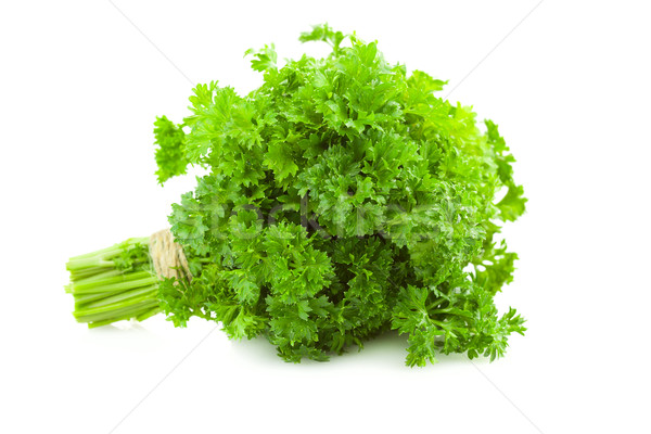 Bunch of fresh Parsley /  isolated on white  Stock photo © Taiga