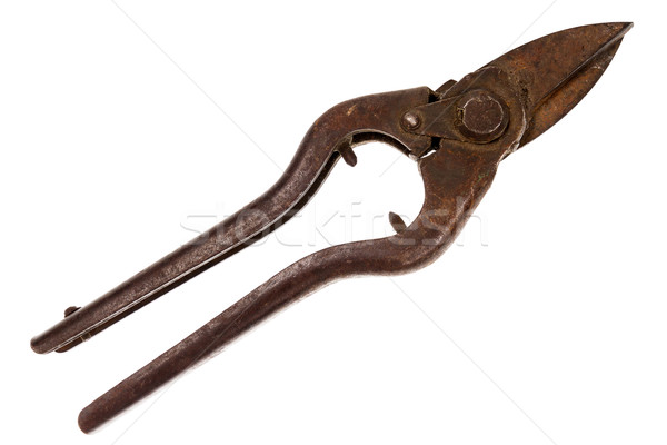Old rusty tin snips Stock photo © Taigi