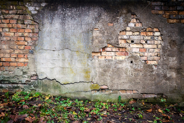 Old brick wall  Stock photo © Taigi