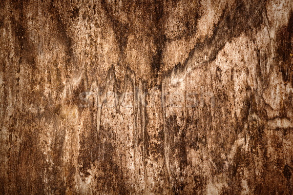 Old wood texture Stock photo © Taigi