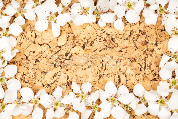 White flowers on corkboard Stock photo © Taigi
