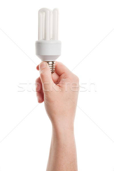 Energy saving light bulb in hand Stock photo © Taigi