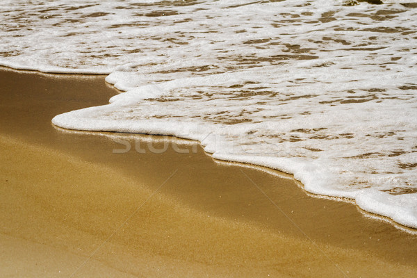 Hullám tengerpart puha tenger homokos tengerpart víz Stock fotó © Taigi