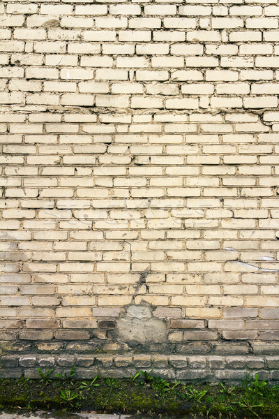 White brick wall Stock photo © Taigi