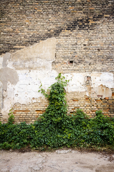 Yellow brick wall background    Stock photo © Taigi