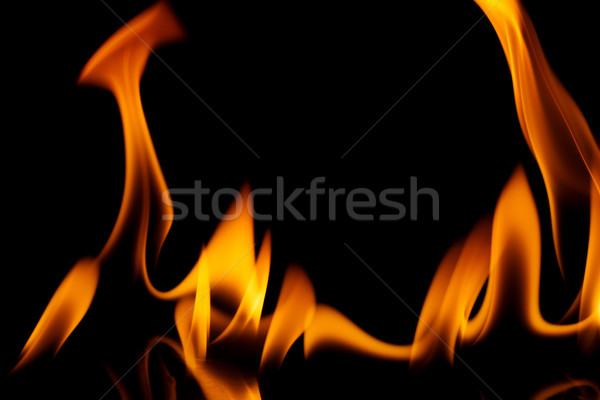Fire flames   Stock photo © Taigi