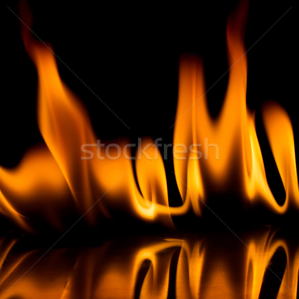 Fire flames   Stock photo © Taigi