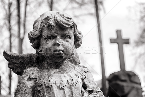 像 天使 少年 墓地 ヴィルニアス ストックフォト © Taigi