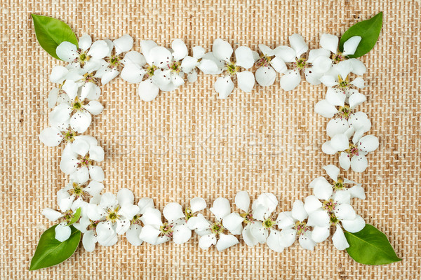Fehér virágok zsákvászon keret űr szöveg tavasz Stock fotó © Taigi