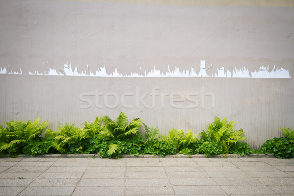 Aged street wall  Stock photo © Taigi