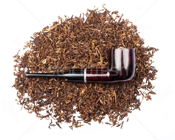 Fumar tubería tabaco aislado blanco fondo Foto stock © Taigi