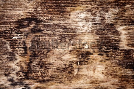 Stare drewno tekstury starych zgniły struktura drewna drewna Zdjęcia stock © Taigi