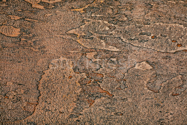 Brown wall texture Stock photo © Taigi