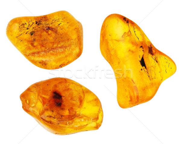 Trois pièces ambre isolé blanche plage Photo stock © Taigi