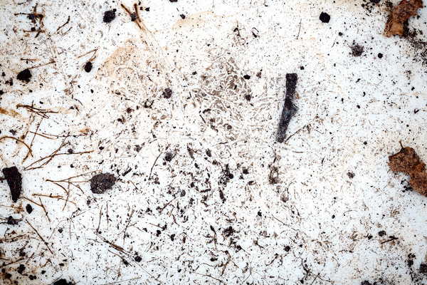 ストックフォト: 泥だらけの · セラミック · プレート · テクスチャ · 食品 · キッチン