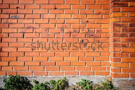 Old wall with immured windows Stock photo © Taigi