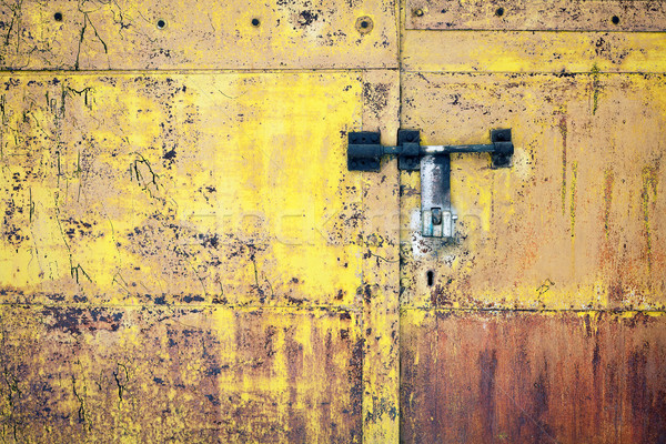 Grunge metal door  Stock photo © Taigi