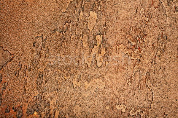 Bruin muur textuur pleisterwerk home verf Stockfoto © Taigi