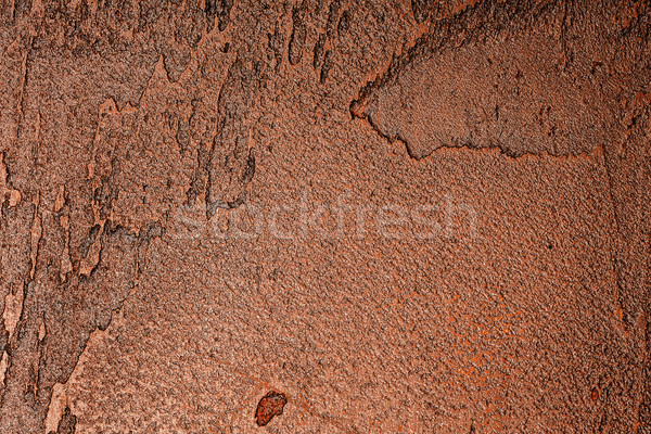 Brown wall texture Stock photo © Taigi