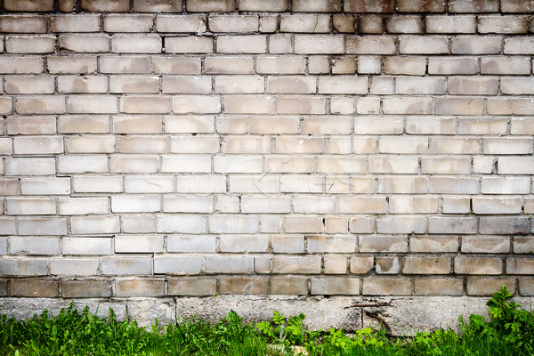 White brick wall Stock photo © Taigi