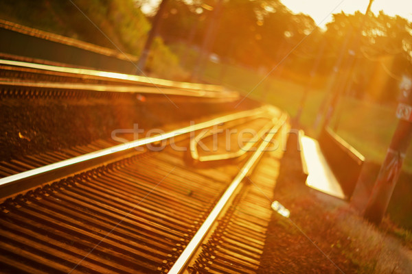 Fókuszált vasút útvonal vasúti sinek naplemente becsillanás Stock fotó © Taigi