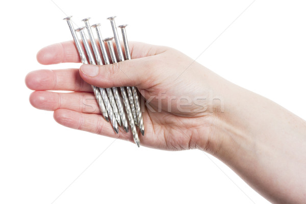 Hand holding handful of nails  Stock photo © Taigi