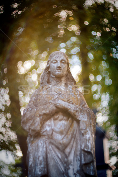 Statue of Virgin Mary Stock photo © Taigi