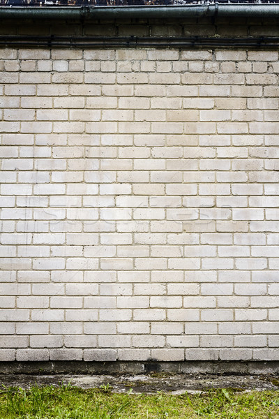 Big fragment of white brick wall with green grass Stock photo © Taigi