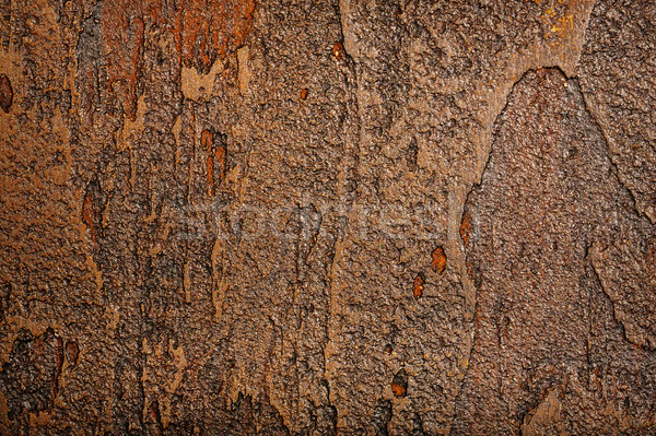 Brown wall texture Stock photo © Taigi