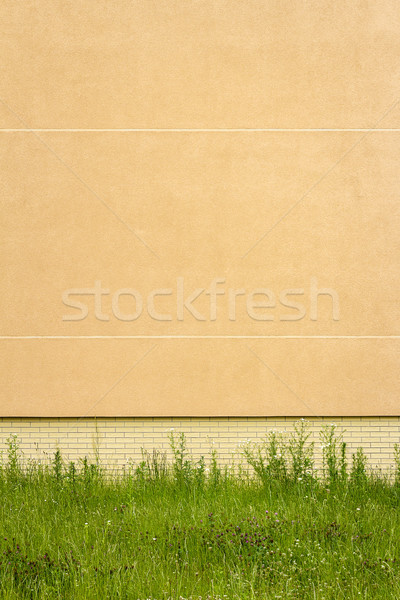 Modern yellow plaster wall Stock photo © Taigi