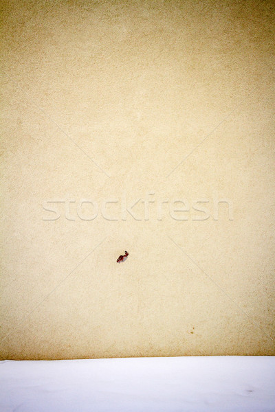 Yellow plaster street wall  Stock photo © Taigi