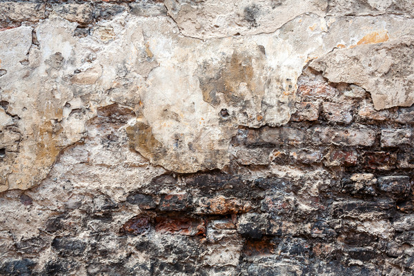 Old cement wall texture Stock photo © Taigi