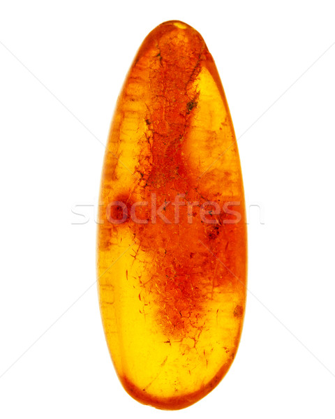 Pièce ambre isolé blanche lumière fond Photo stock © Taigi