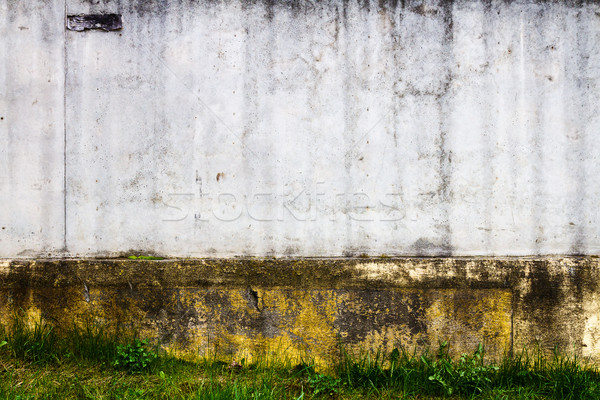 Straße Wand verwitterten Textur Gras Stock foto © Taigi