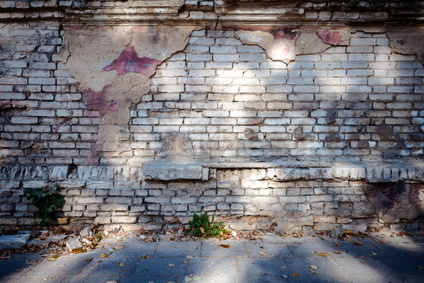 [[stock_photo]]: Vieux · mur · fissuré · ombre · arbre · construction