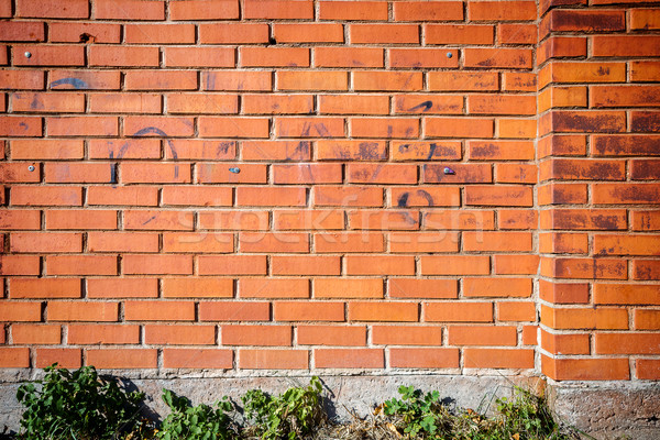 Stok fotoğraf: Kırmızı · tuğla · duvar · yeşil · ot · çim · Bina · dizayn