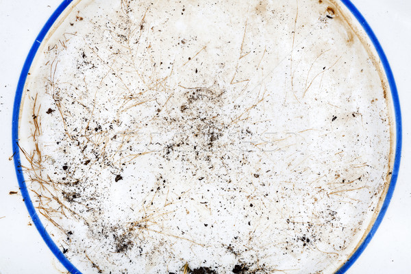 грязный керамической пластина текстуры продовольствие кухне Сток-фото © Taigi