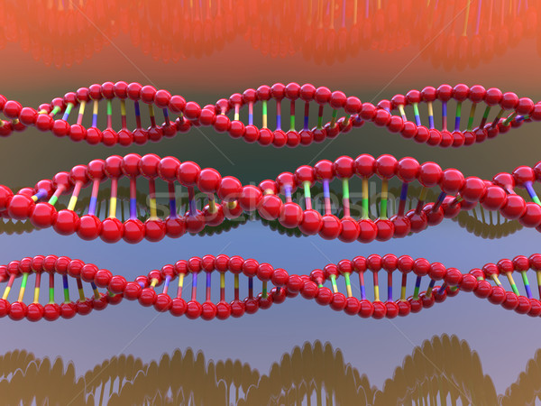 Dna Modell Gesundheit Hintergrund Medizin Wissenschaft Stock foto © taiyaki999