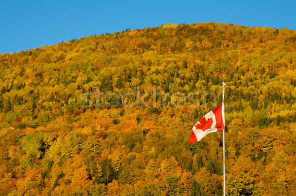 Canadian fall Stock photo © Talanis